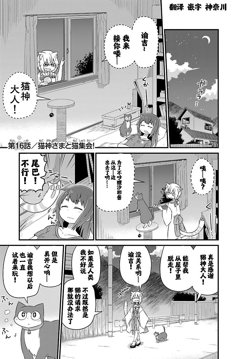 貓神逗貓草: 16話 - 第1页