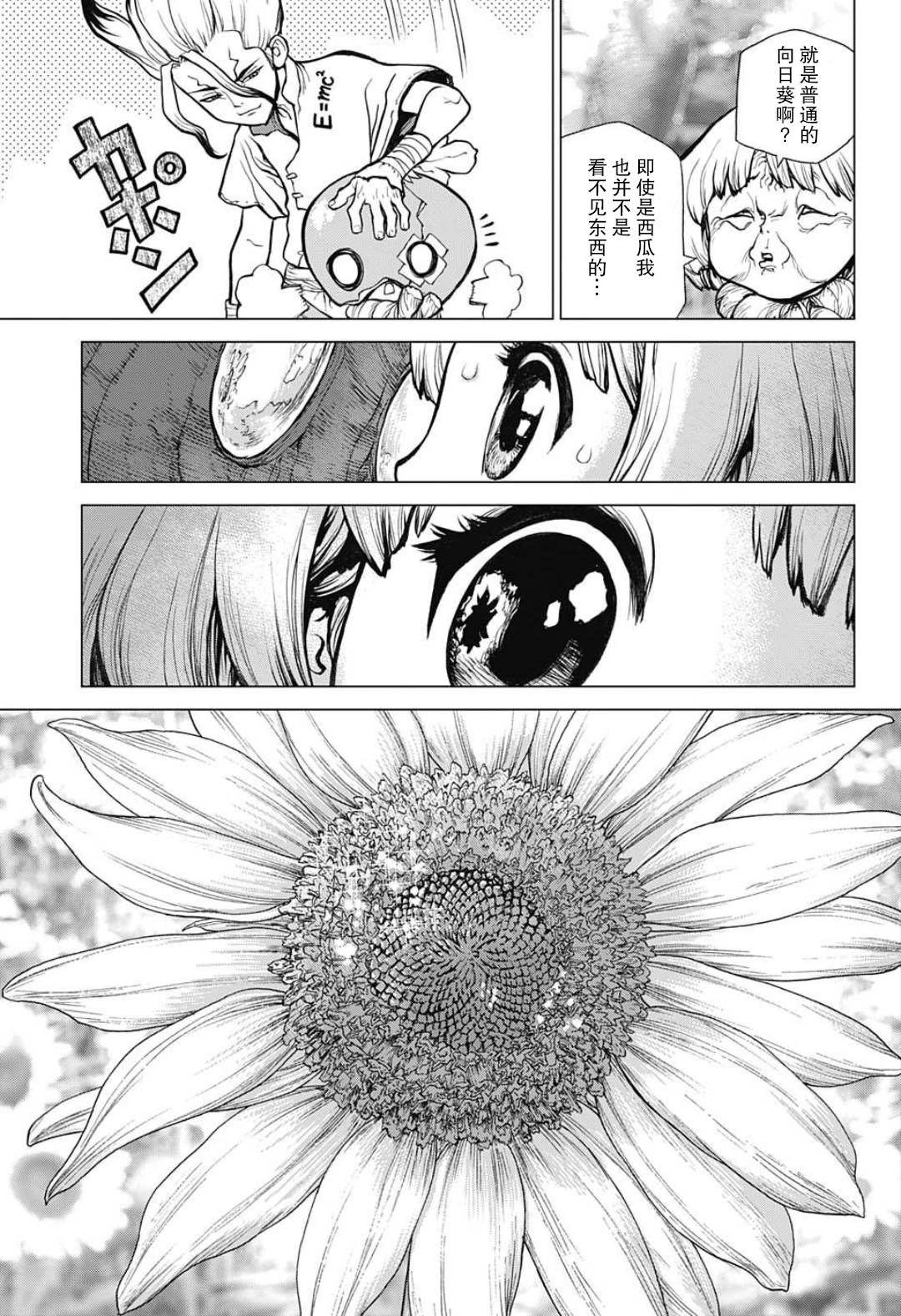 Dr.STONE 石紀元: 28話 - 第13页