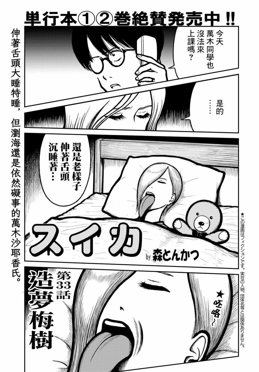 西瓜妹妹: 33話 - 第1页