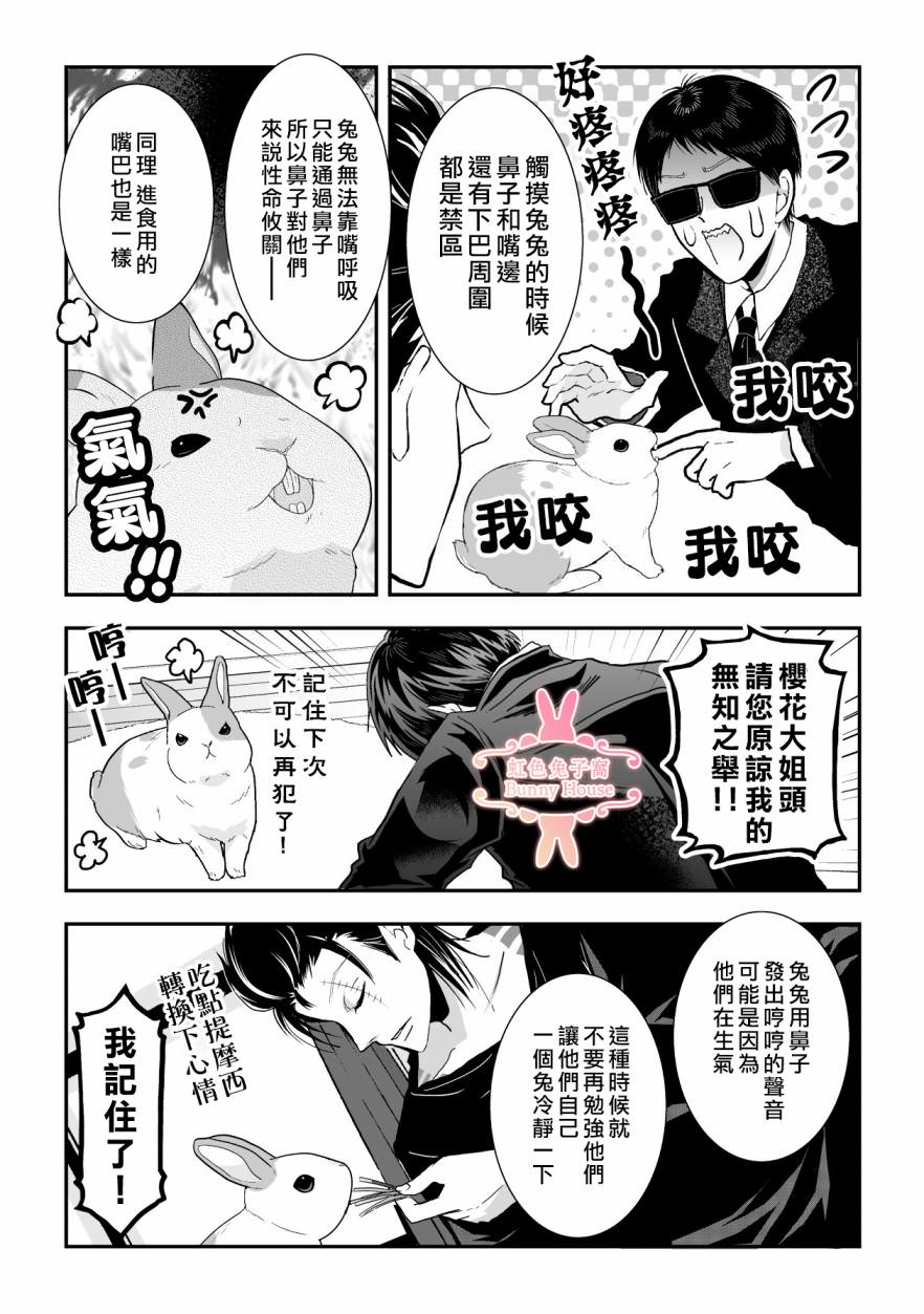 極道兔兔: 29話 - 第16页