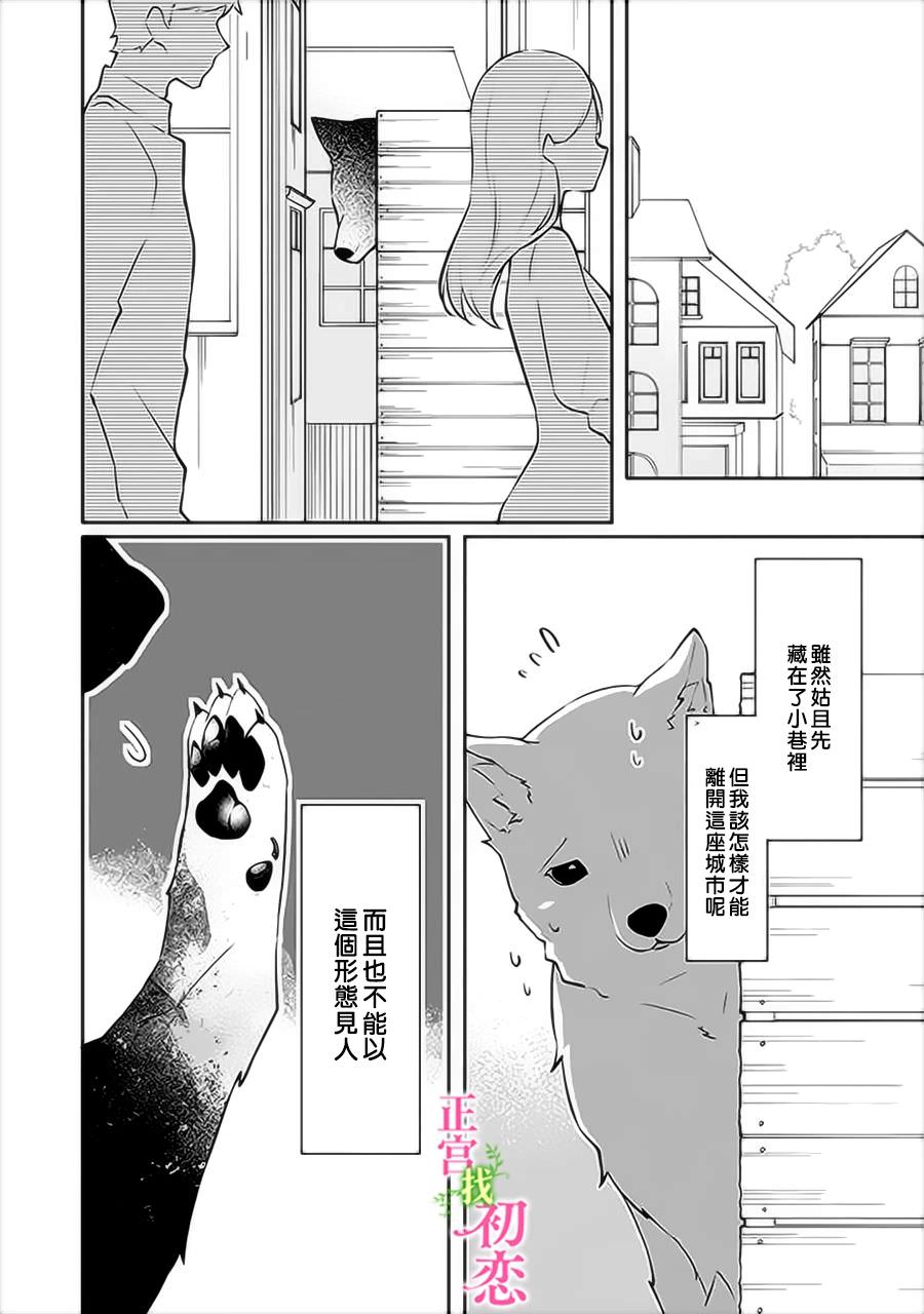 初戀竟是我自己: 15話 - 第13页