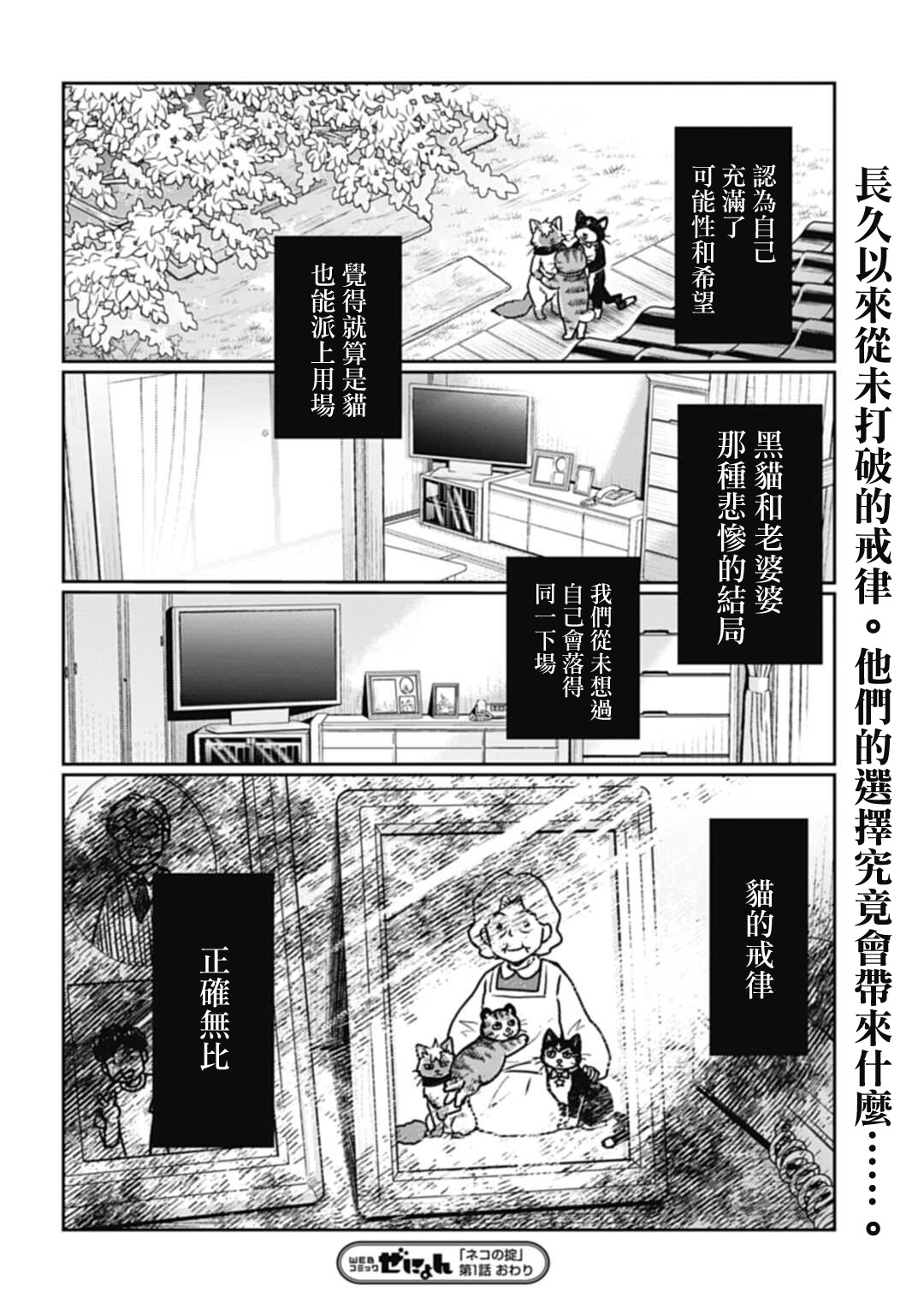 貓的戒律: 01話 - 第31页