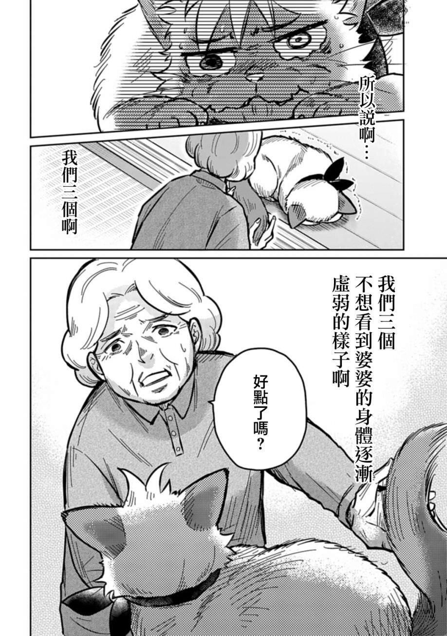 貓的戒律: 04話 - 第16页