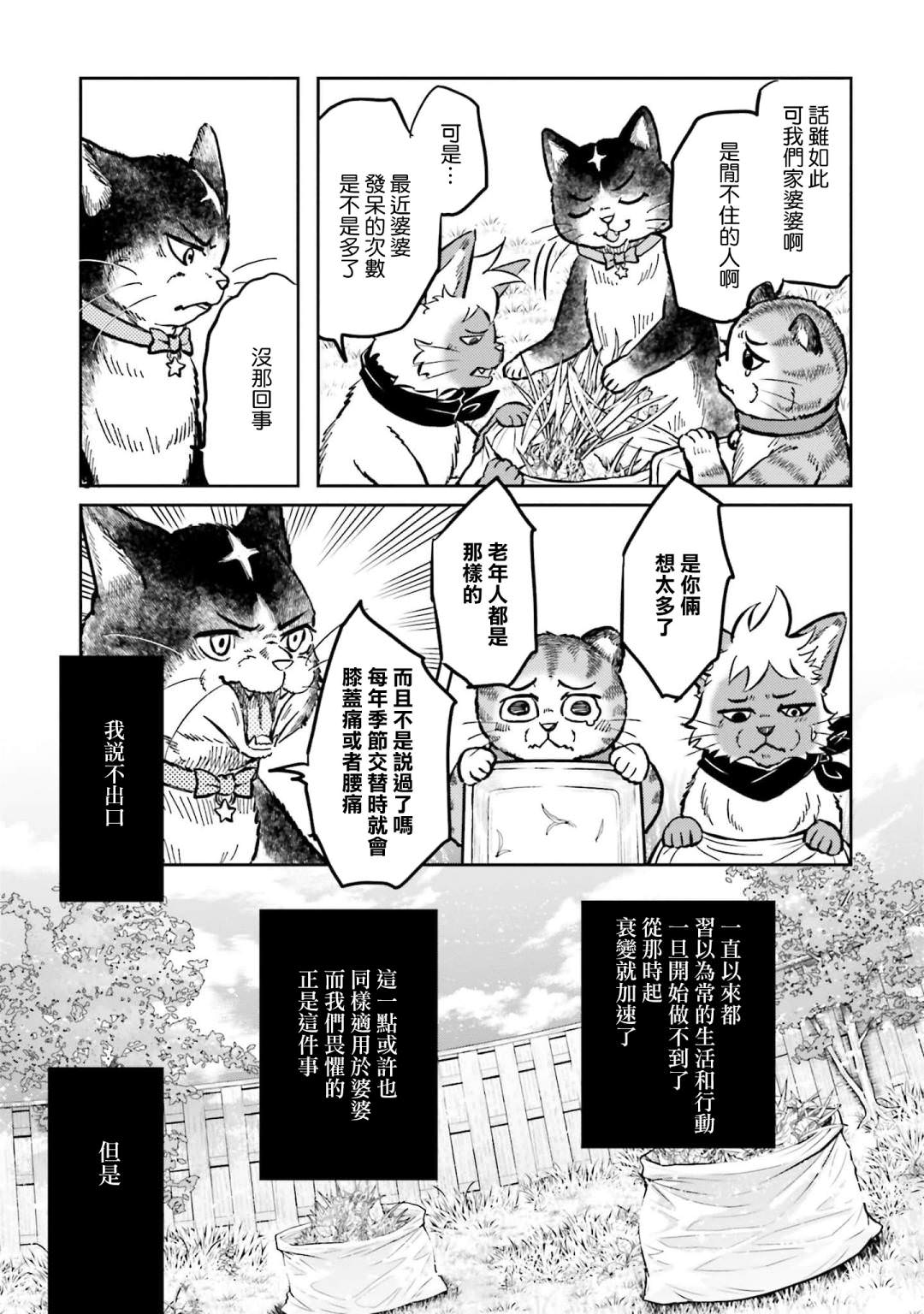 貓的戒律: 05話 - 第11页