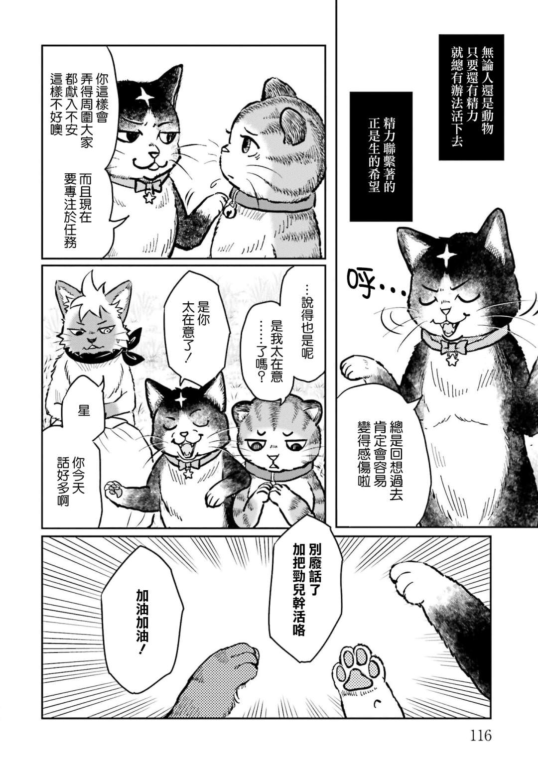 貓的戒律: 05話 - 第12页