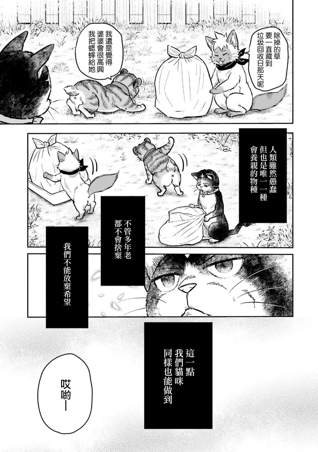 貓的戒律: 05話 - 第13页