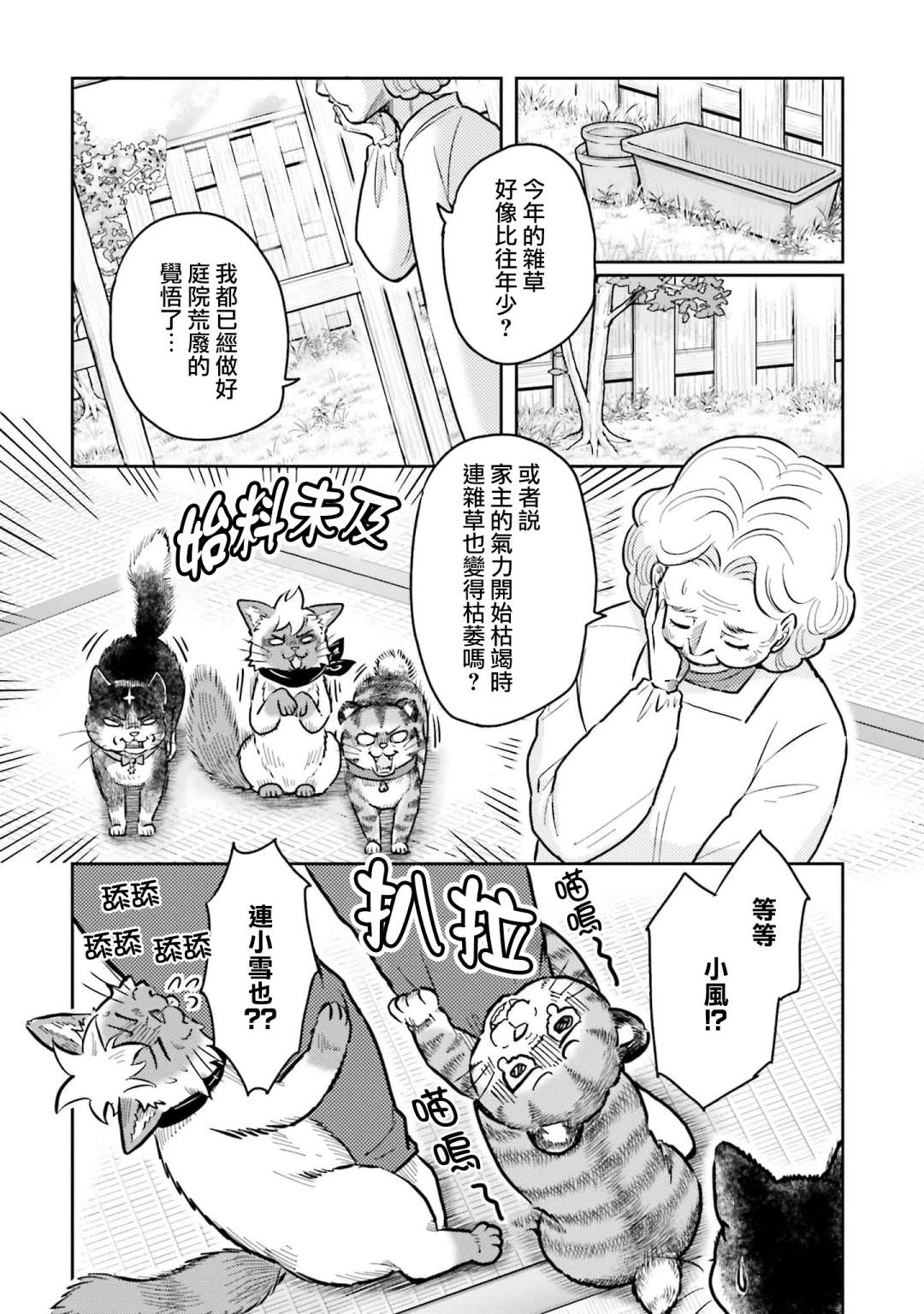 貓的戒律: 05話 - 第14页