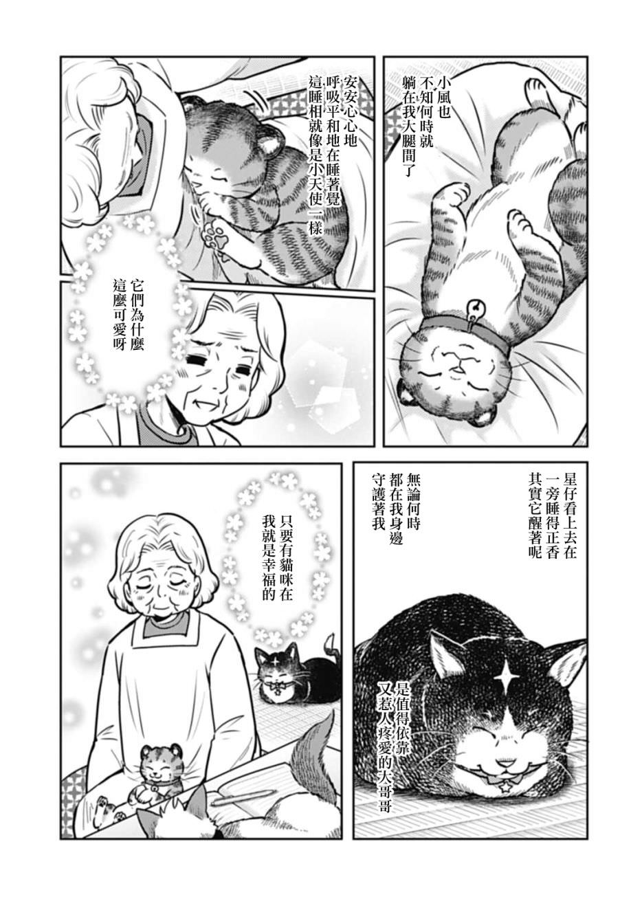 貓的戒律: 07話 - 第7页