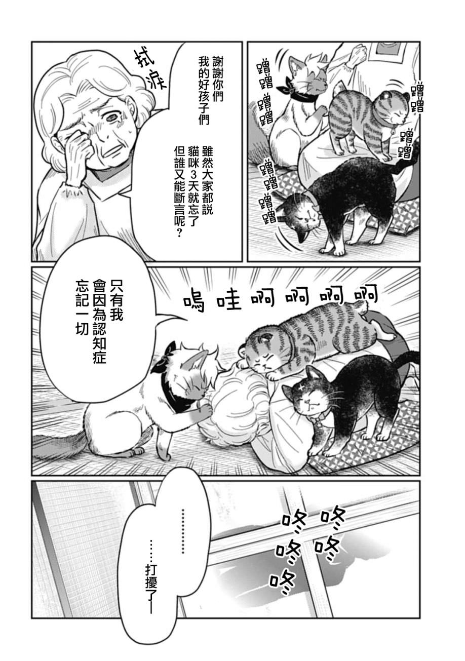 貓的戒律: 07話 - 第12页