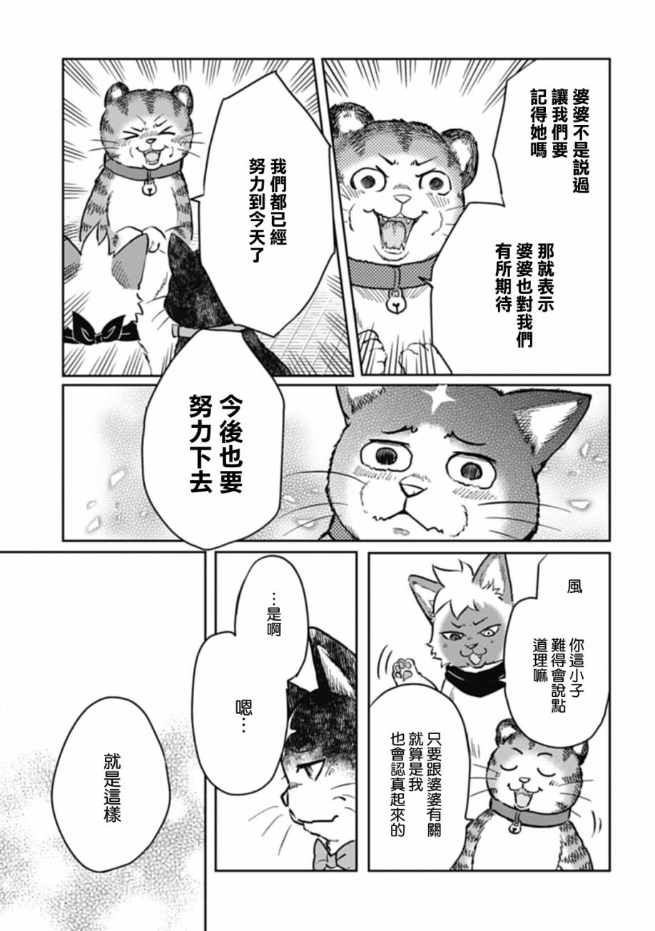 貓的戒律: 07話 - 第17页