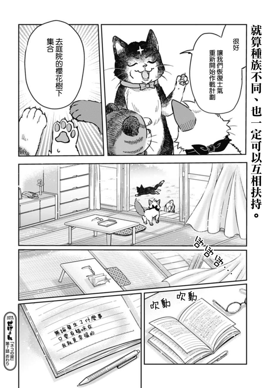 貓的戒律: 07話 - 第18页